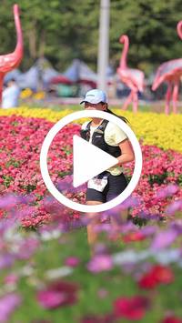 BIB:  <button type="button" onclick="openModal(27588359)" class="btn btn-primary btn-sm float-right" data-toggle="modal" data-target=".modal-high-quality">
                <i class="fa fa-download"></i> Download
                </button>